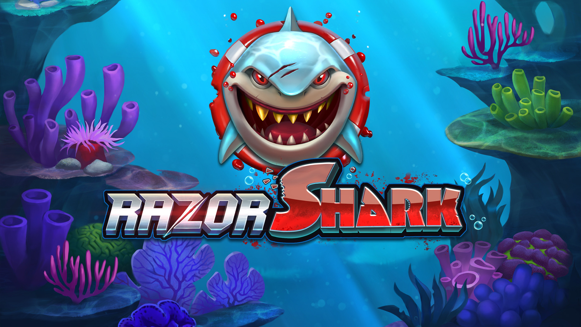 Razor Shark at TikiTaka